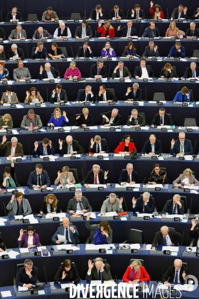 Votes au Parlement européen de Strasbourg