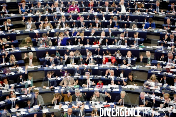 Votes au Parlement européen de Strasbourg