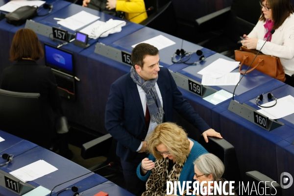 Votes au Parlement européen de Strasbourg