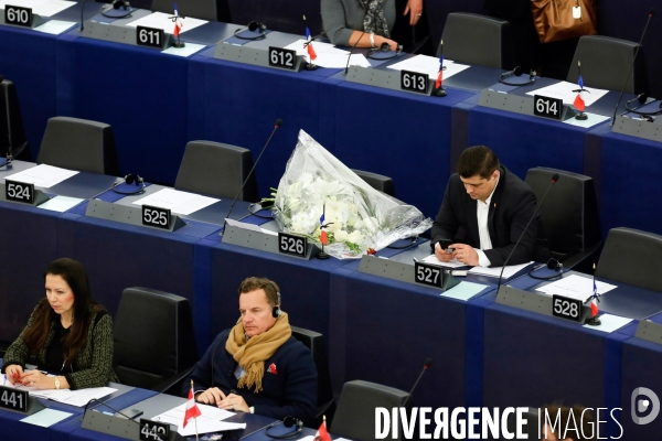 Hommage à Edouard Ferrand au Parlement européen de Strasbourg
