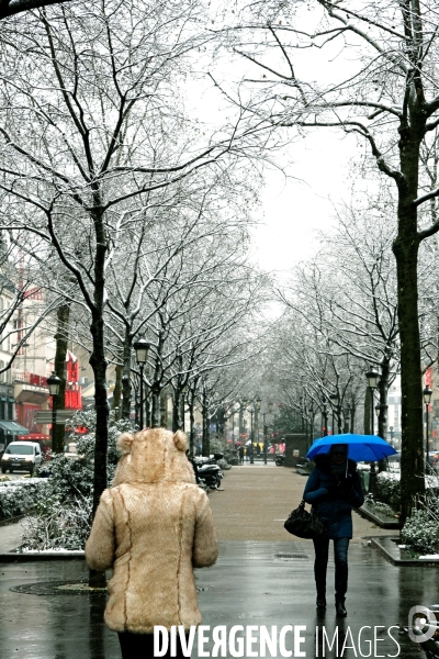 Ours blanc à Blanche