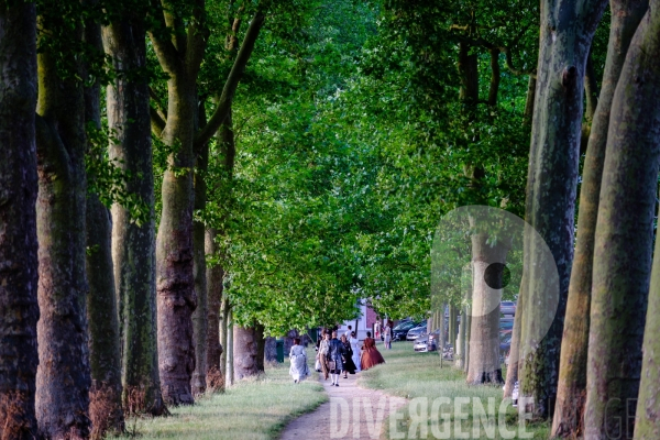 Le Grand bal Masqué du  Château de Versailles
