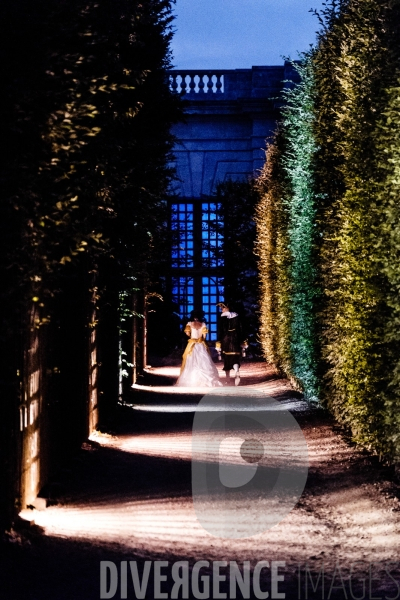 Le Grand bal Masqué du  Château de Versailles