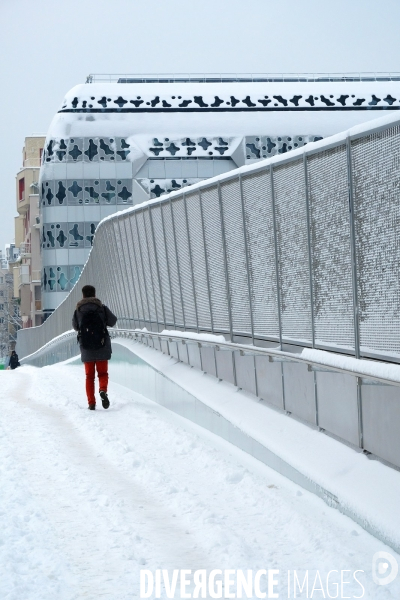 Episode neigeux a Paris