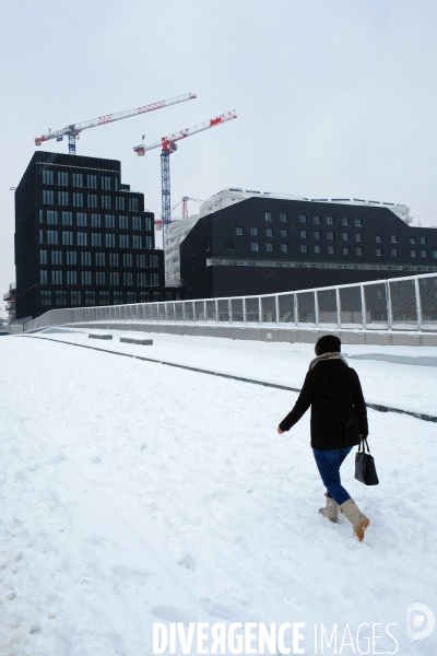 Episode neigeux a Paris