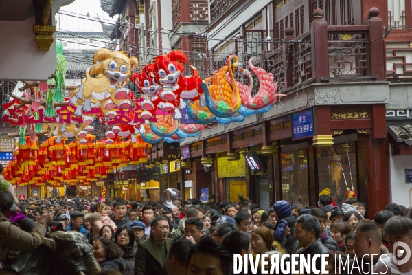 L annee du chien a shanghai
