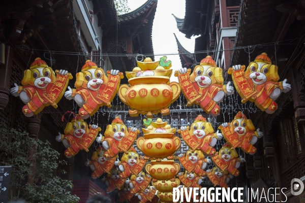 L annee du chien a shanghai