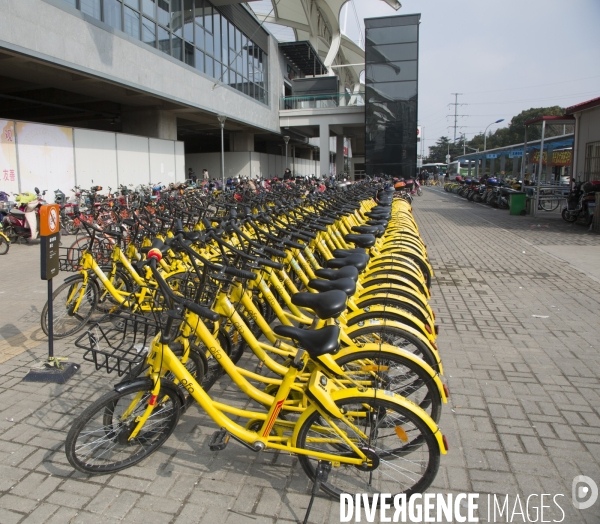 Le velo sans bornes a shanghai