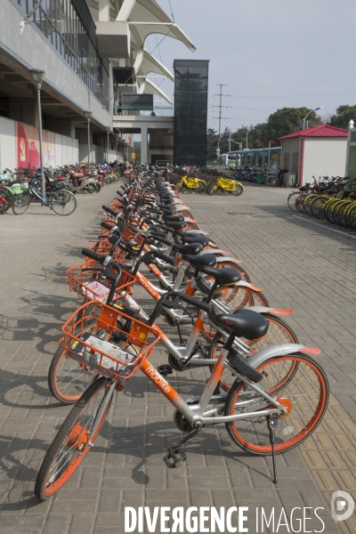 Le velo sans bornes a shanghai