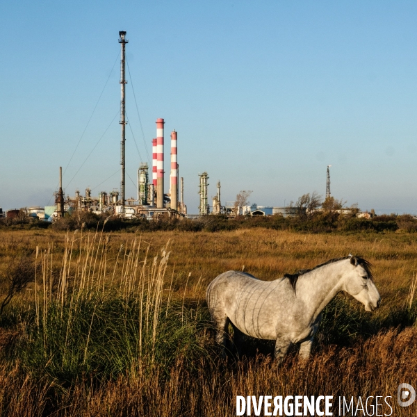 Pollution dans le golfe de Fos
