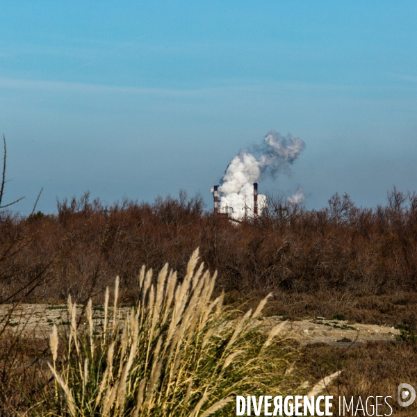 Pollution dans le golfe de Fos