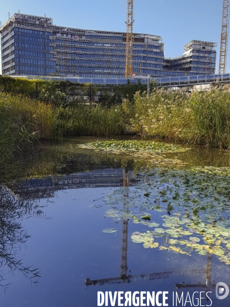 Le Parc Clichy-Batignolles - Martin-Luther-King et les quartiers en chantier aux alentours