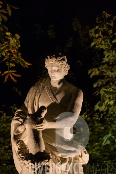 Les grandes eaux nocturnes au château de Versailles