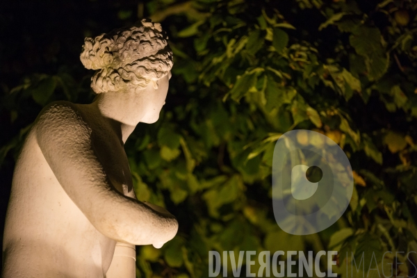 Les grandes eaux nocturnes au château de Versailles