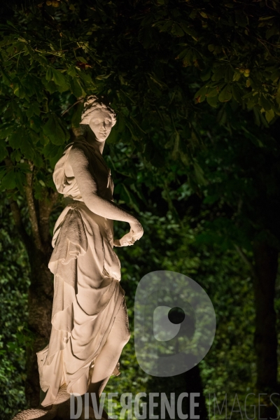 Les grandes eaux nocturnes au château de Versailles