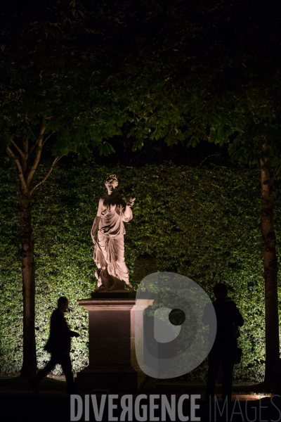 Les grandes eaux nocturnes au château de Versailles