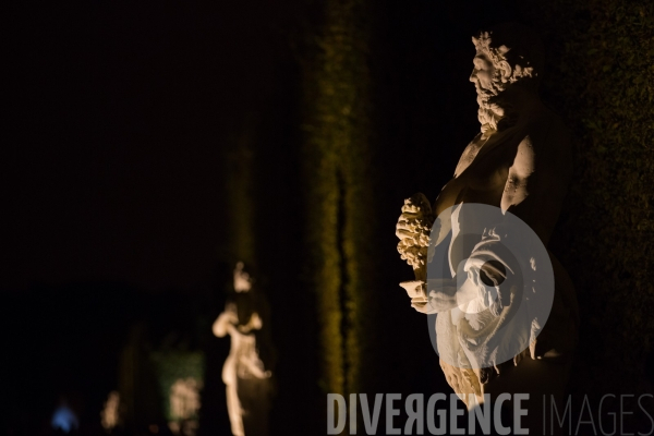 Les grandes eaux nocturnes au château de Versailles