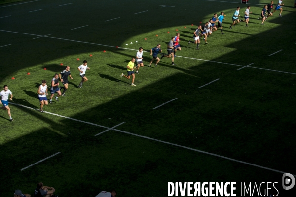 Arbitres rugby