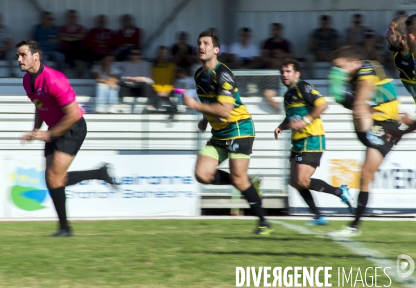 Arbitres rugby