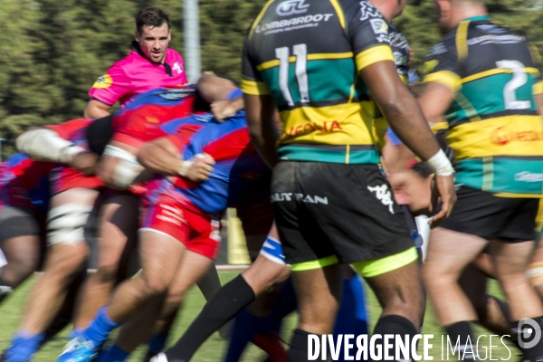 Arbitres rugby