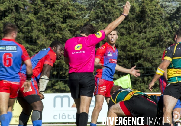 Arbitres rugby