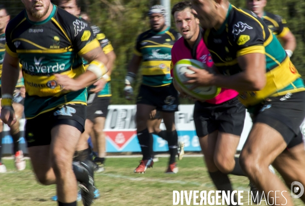 Arbitres rugby