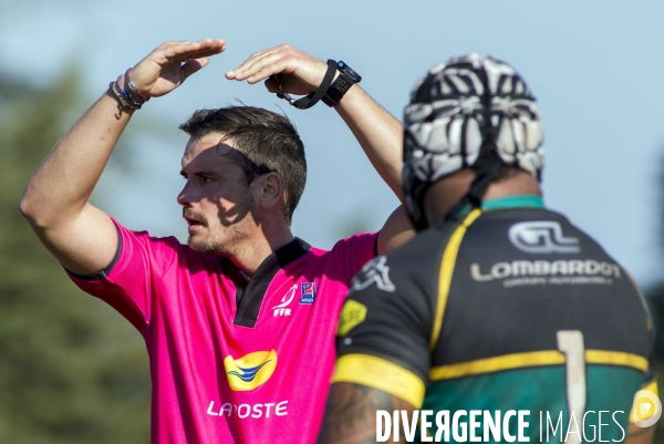 Arbitres rugby