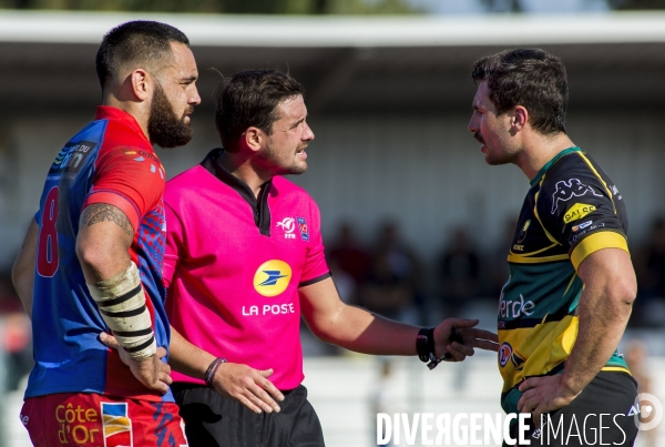 Arbitres rugby