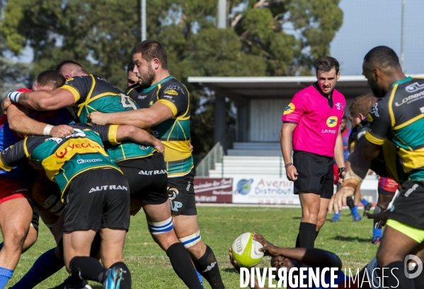 Arbitres rugby