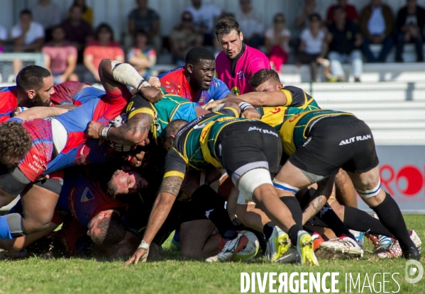 Arbitres rugby