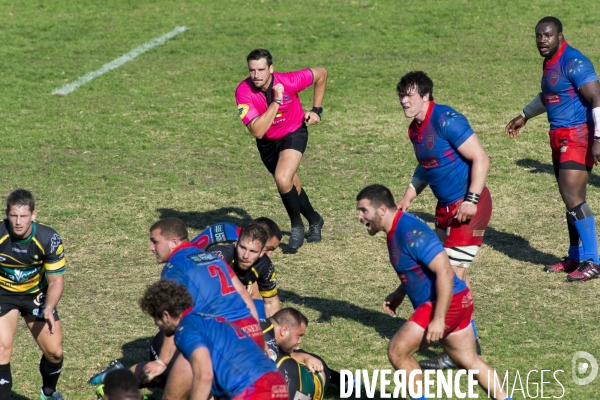 Arbitres rugby