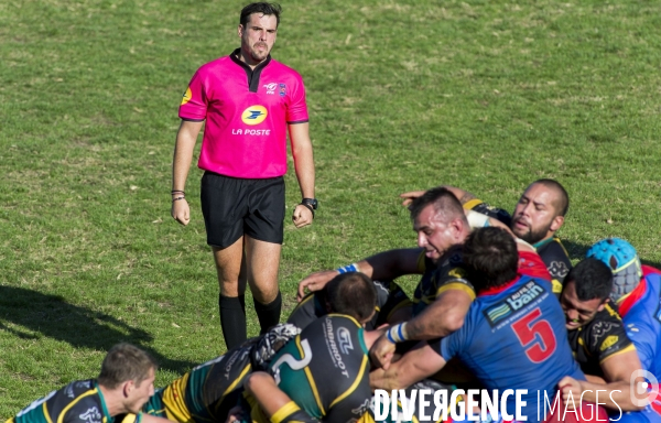 Arbitres rugby