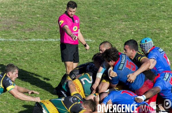 Arbitres rugby