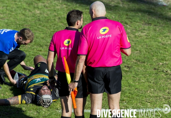 Arbitres rugby