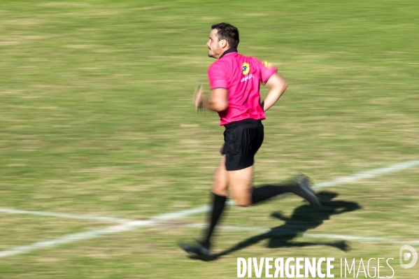 Arbitres rugby