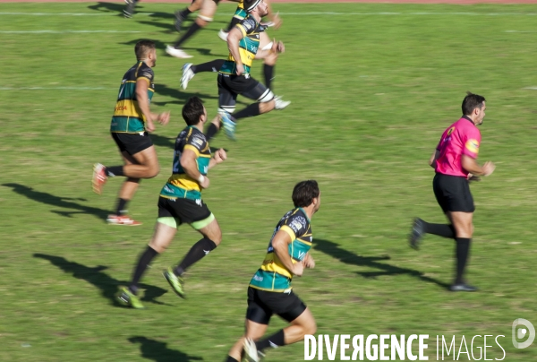 Arbitres rugby