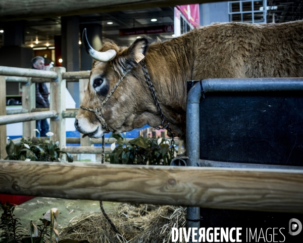 Salon de l Agriculture 2018