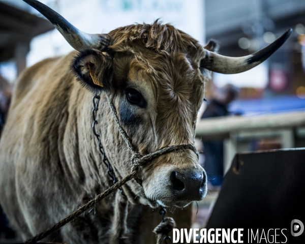 Salon de l Agriculture 2018