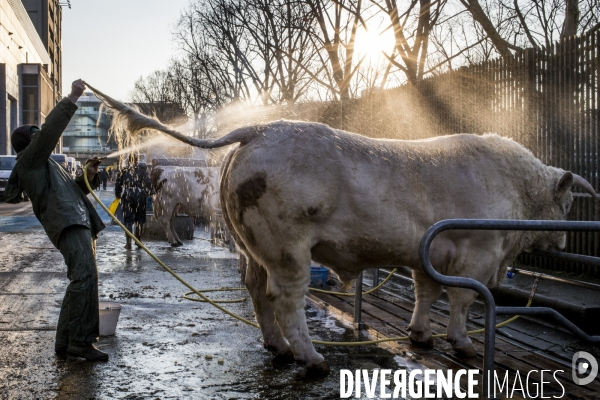 Salon de l Agriculture 2018