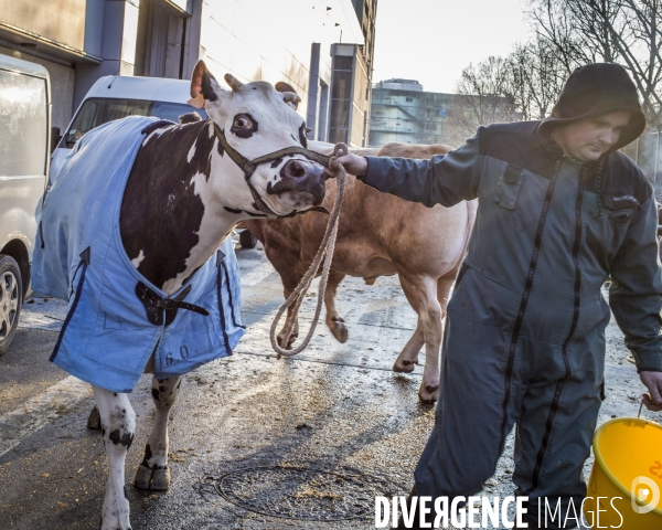 Salon de l Agriculture 2018