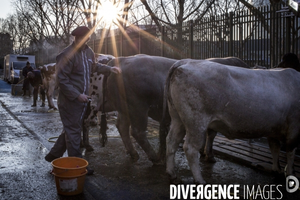 Salon de l Agriculture 2018