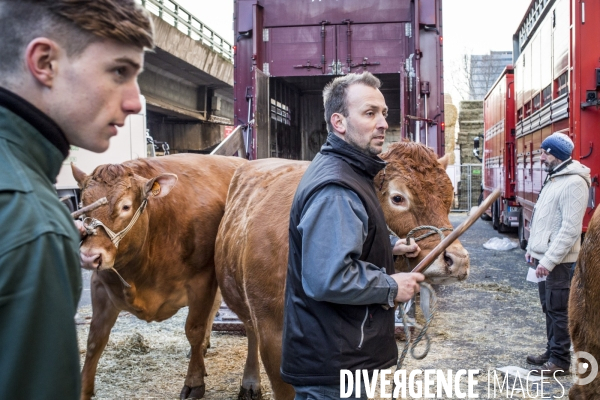 Salon de l Agriculture 2018