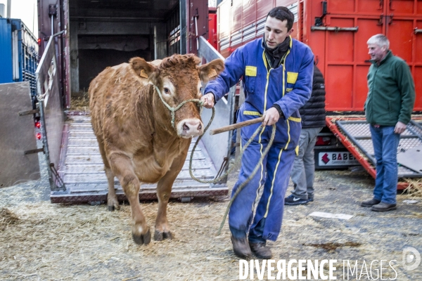 Salon de l Agriculture 2018