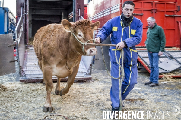 Salon de l Agriculture 2018