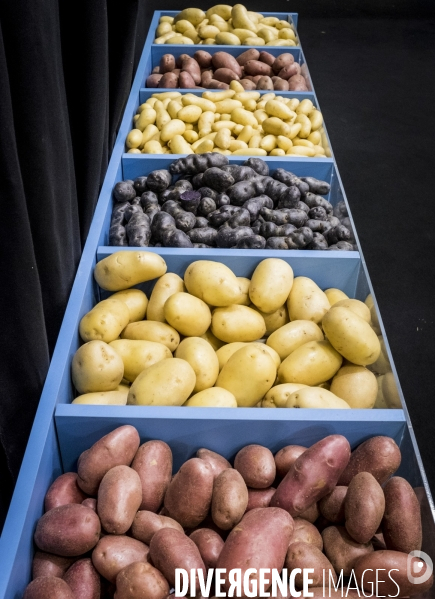 Salon de l Agriculture 2018