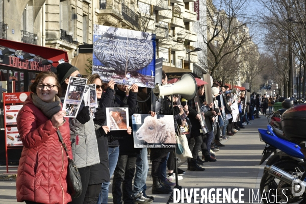 Manifestation au Salon de l agriculture contre l exploitation animale.