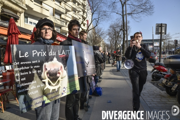 Manifestation au Salon de l agriculture contre l exploitation animale.