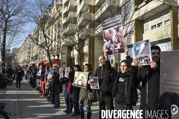 Manifestation au Salon de l agriculture contre l exploitation animale.