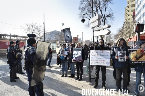 Manifestation au Salon de l agriculture contre l exploitation animale.