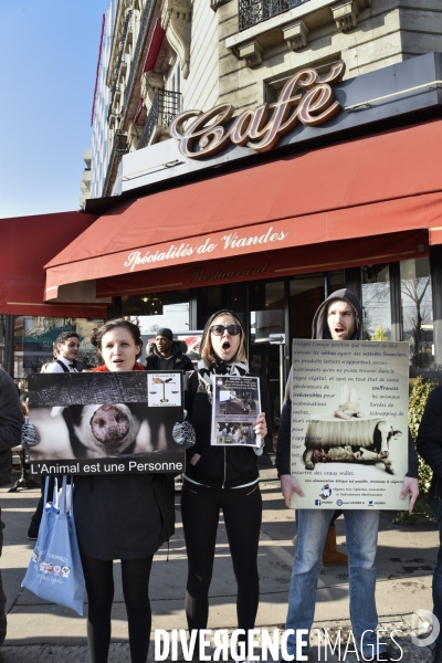 Manifestation au Salon de l agriculture contre l exploitation animale.